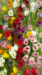 Various Tulips flower in flower shop