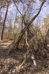 Tipi