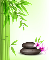 Fototapeta na wymiar Green bamboo and spa stones
