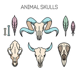outline icon skull animals