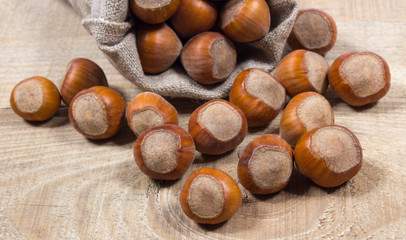 Hazelnuts close up.