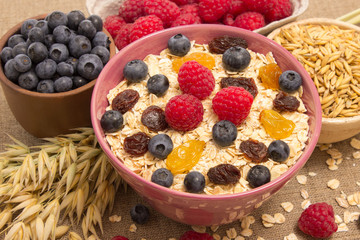 Healthy porridge with fruits on canvas