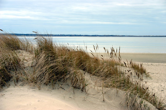 D&uuml;nen auf der Insel F&ouml;hr mit der Insel Amrum im Hintergrund