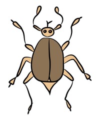 beetle
