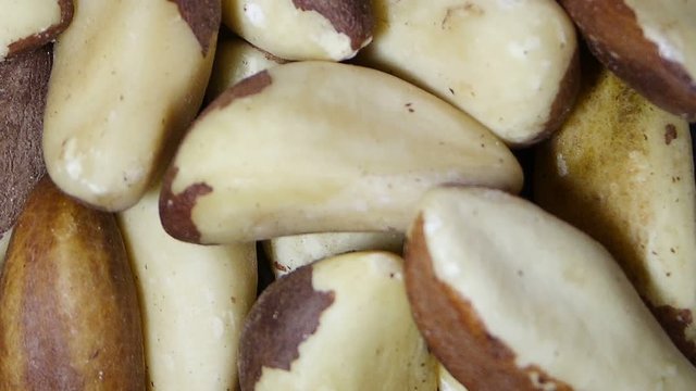Pile nuts Brazil nut close up