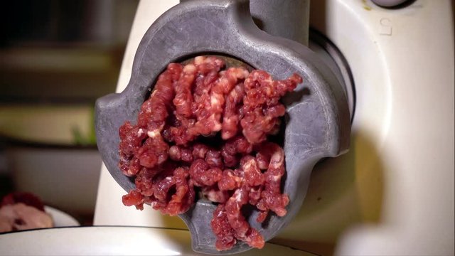 Forcemeat preparation in an electric meat grinder