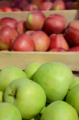 Apples in crates
