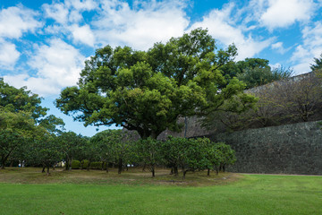 Kumamoto castle