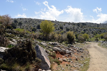 Fototapeta na wymiar A path of mountain on the island of crète in Greece.