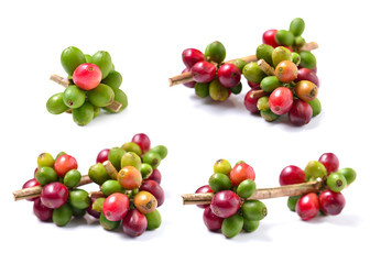 Coffee beans isolated on white background.