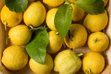 Crate of lemons, close up