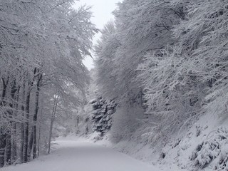 carretera nevada