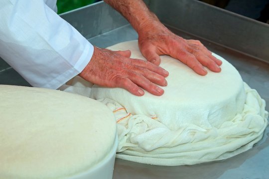 hands of an old and expert cheesemaker over the freshly cheese i