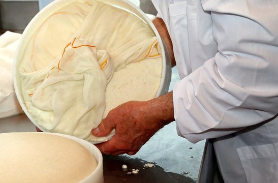 senior expert cheesemaker with a clever gesture turns the wheel