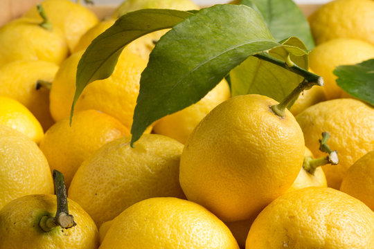 Lemons with center lemon
