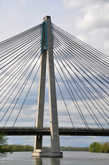 Fototapeta premium Rose Bridge Tulln