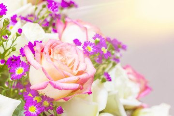 Flower roses background