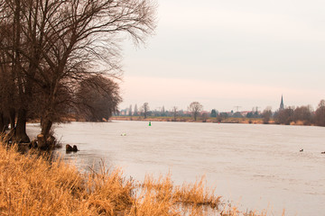 Obraz premium Dresden an der Elbe