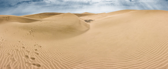 Naklejka na ściany i meble Panorama of sand desert
