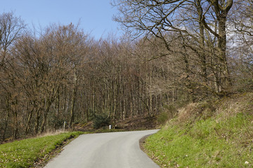 Strassen - Schmale Fahrbahn an einem Wald