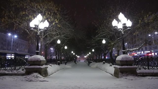snowfall over the central avenue of the city lights at night