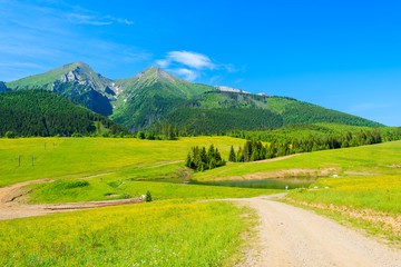 Fototapeta premium Road in green valley in summer landscape of Tatra Mountains, Slovakia
