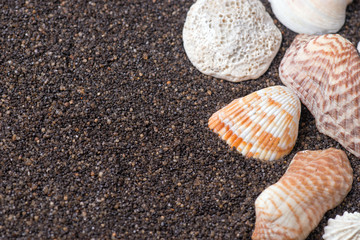 Frame made of seashells on dark sand