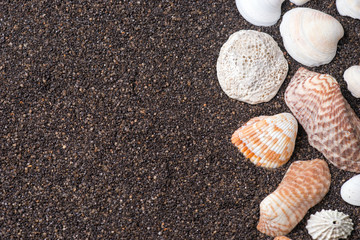 Frame made of seashells on dark sand