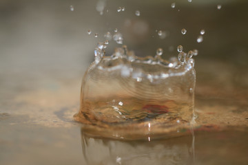 Water splash or water drop - (Selective focus)