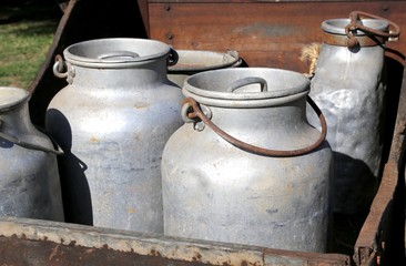 ancient milk cans aluminum  to deliver milk in the dairy