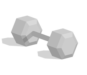 Dumbbell in flat style isolated on white background. Weight lifting flat 3d isometry isometric sport. Vector Illustration