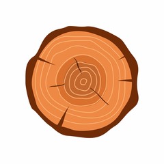 Cross section of tree stump in flat style isolated on white background. Tree trunk cross section natural cut wood slice circle timber ring. Vector illustration