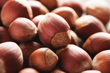 Pile of brown acorns closeup macro shot