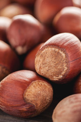 Pile of brown acorns closeup macro shot