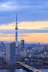 Fototapeta na wymiar Tokyo city with tokyo sky tree at sunset time