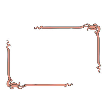 frame oval vintage baroque flowers vector