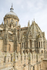 Naklejka premium Cathedral Church Tower, Salamanca