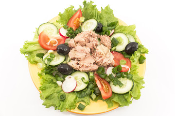 Tuna salad with vegetables and olives