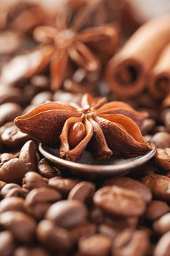 Coffee beans, cinnamon and star anise closeup © Glevalex