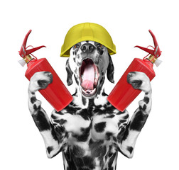 dog firefighter screams signal -- isolated on white