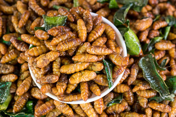 fried silkworms