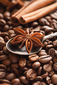 Star anise with cinnamon and roasted coffee beans © Glevalex