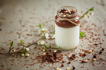 Homemade yoghurt with chocolate mousse and  chocolate candy drop