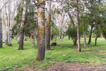 Obraz premium Green Park