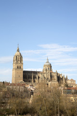 Fototapeta na wymiar Cathedral Church, Spain, Salamanca