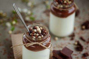 Glass of homemade yoghurt with chocolate mousse and  chocolate c
