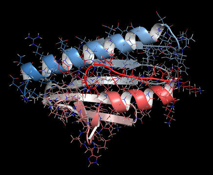 Frataxin (human) mitochondrial protein. 