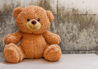 Nice and cute teddy bear