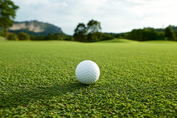 white golf ball on fairway with the green background in the coun