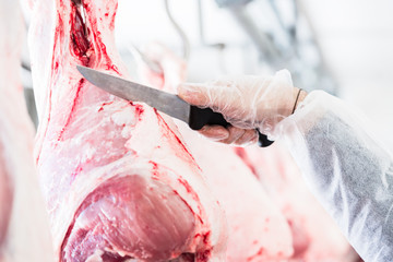 Hand von Fleischer im Schlachthof beim Schneiden von Fleisch mit Messer